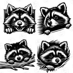Peeking Raccoon SVG and PNG Bundle, Raccoon Clipart, Peeking Animal Svg, Wildlife Svg, Animals Clipart, Transparent Background