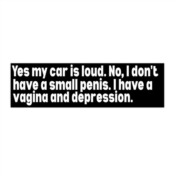Funny Bumper Sticker for Car Girls, Mental Health Jokes, Aftermarket Exhaust, Straight Piped, I Love My Car, Loud Cars Decal, Car Accessory
