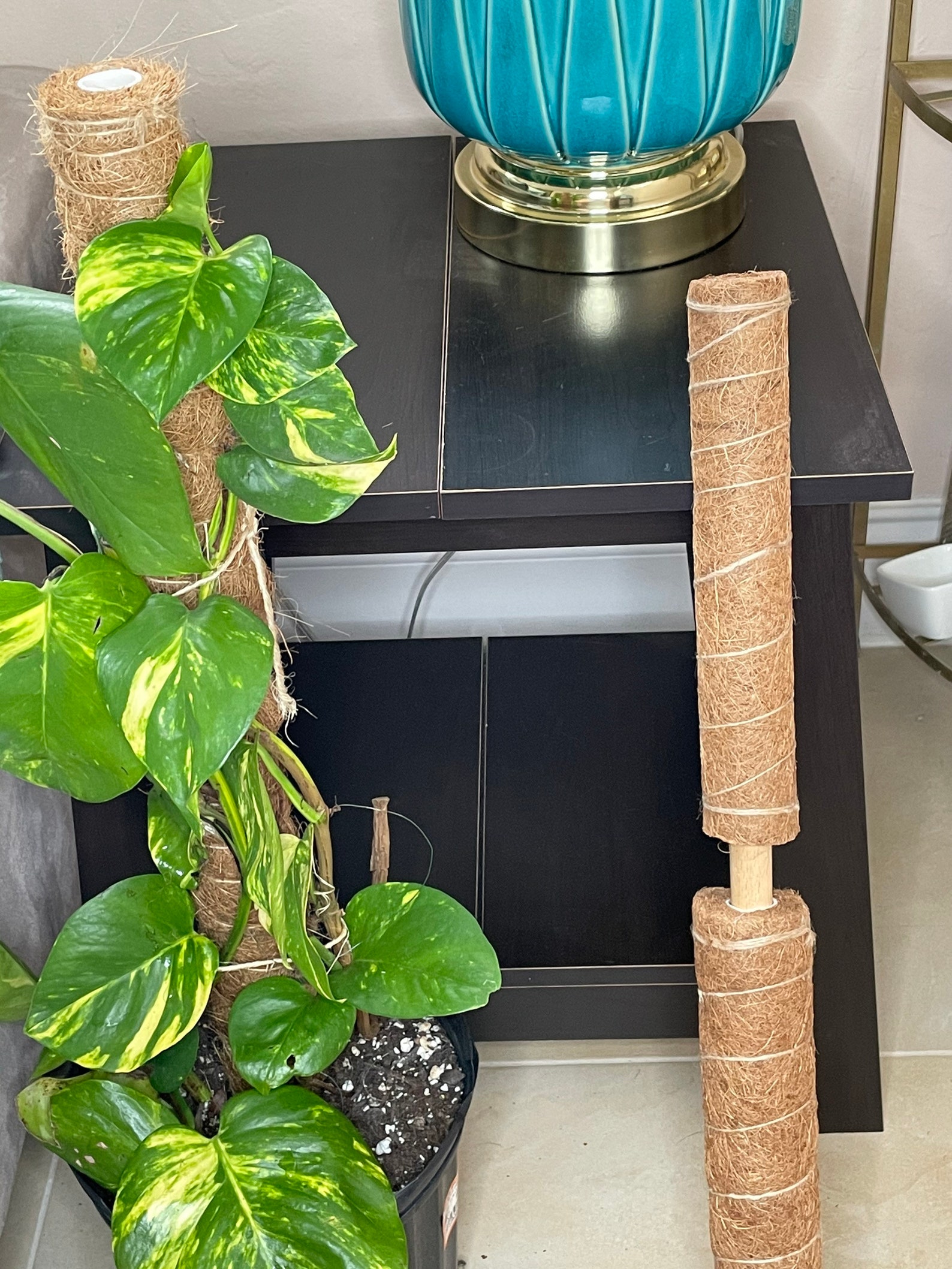 2-pack Plant climbing coir totem pole Climbing Plant trellis | Etsy