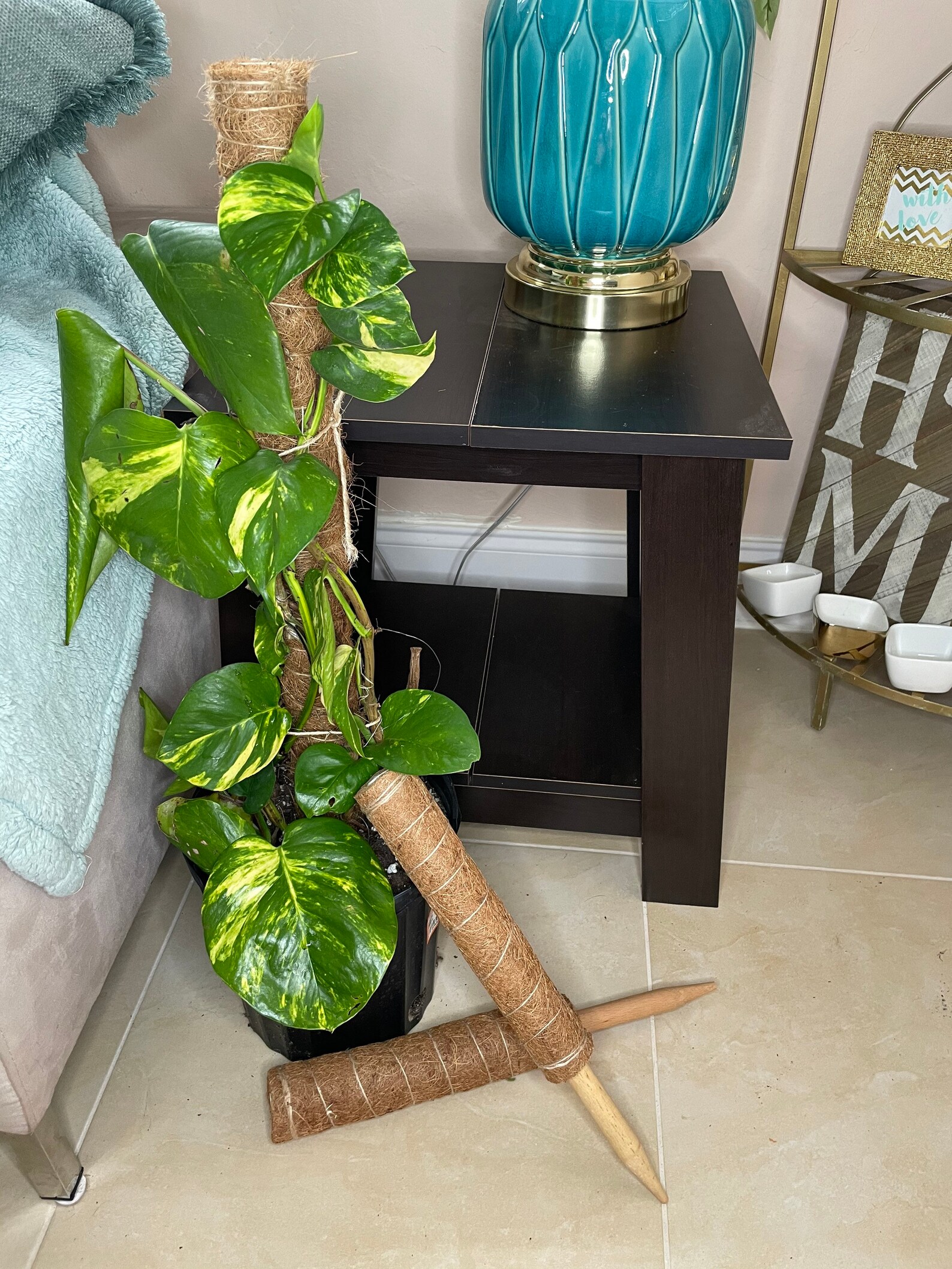 2pack Plant climbing coir totem pole Climbing Plant trellis Etsy