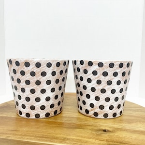 May include: Two white ceramic planters with black polka dots. The planters are on a wooden surface.