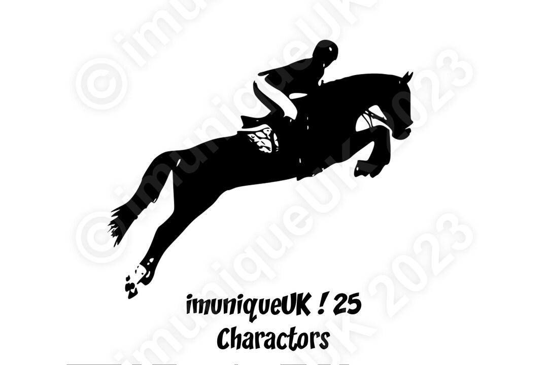 DIY Custom Iron on Horse Decal for T Shirts, Show Jumping With a Female