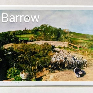 Prints: Sheep, Parbold