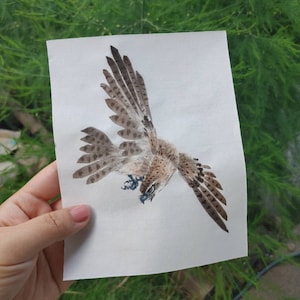 Artes de acuarela chinas originales