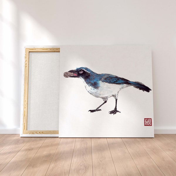 California scrub jay,bird art,watercolor art(Fine Art Print or Digital Download)