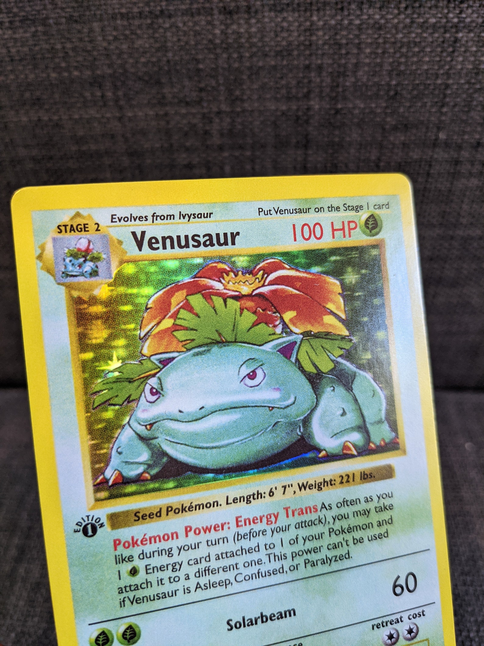 HOLO 15/102 Venusaur 1st Edition Base Set SHADOWLESS Etsy