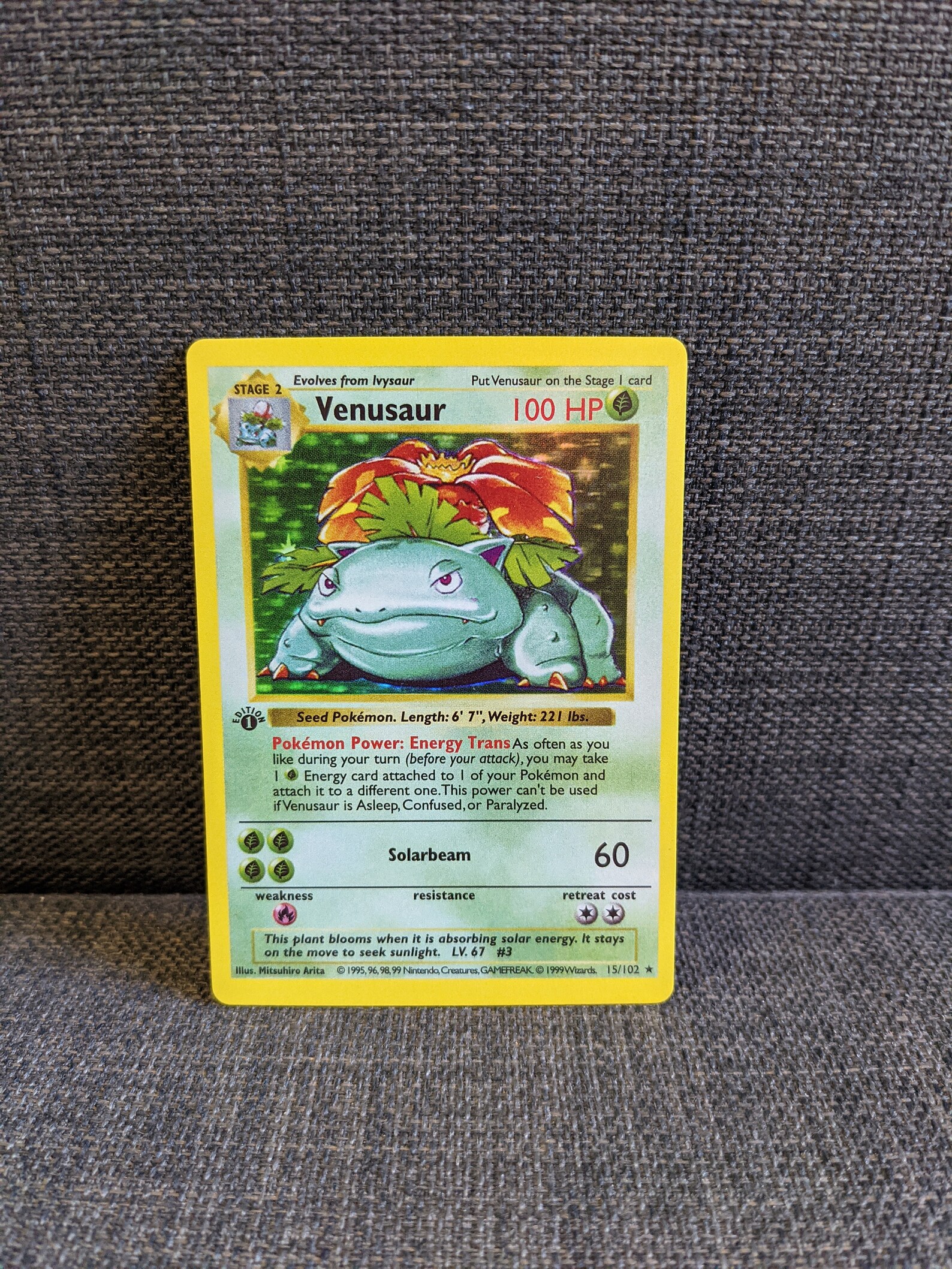 HOLO 15/102 Venusaur 1st Edition Base Set SHADOWLESS Etsy