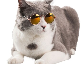 Cat Dog Glasses for Pets