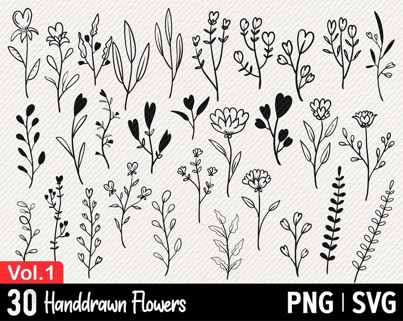 Download Hand Drawn Doodle Png Svg Decoration Clipart Kit Vol 1 30 Handdrawn Flowers Clip Art Art Collectibles Deshpandefoundationindia Org