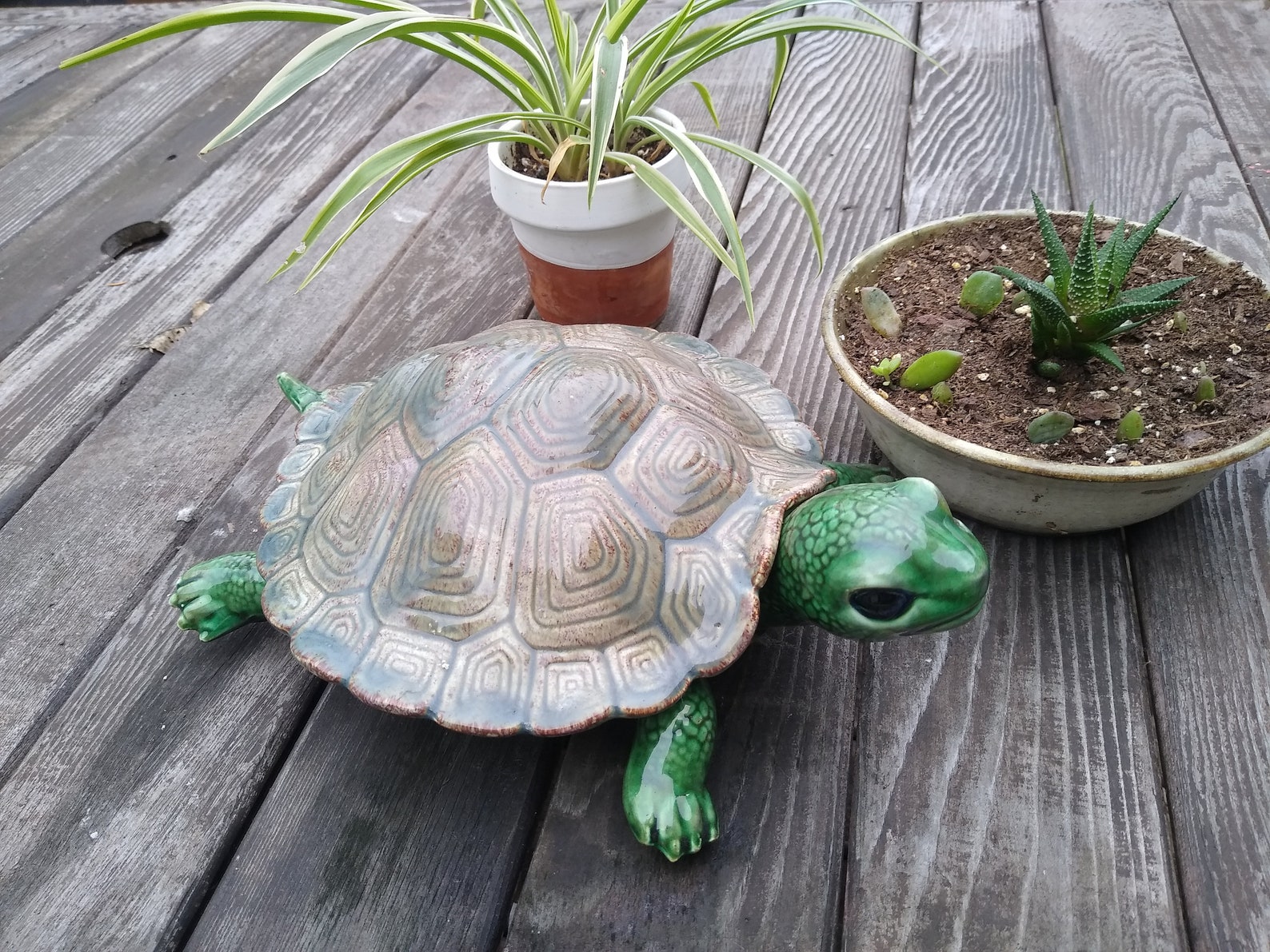Ceramic Turtle Figurine Hand Painted candy dish treasure Etsy