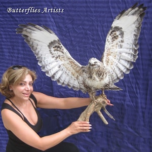 Stuffed birds of prey store