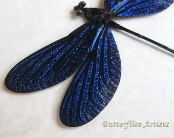 Download Dragonfly Shadowbox Etsy