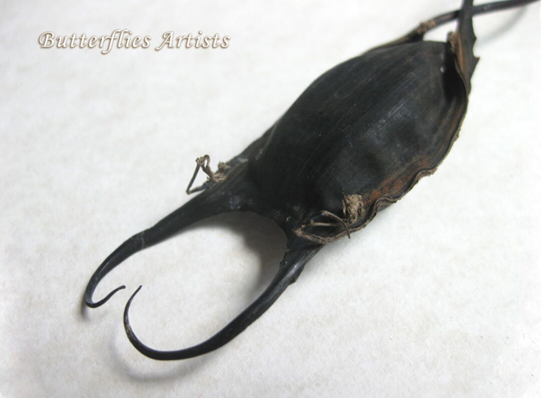 Mermaid purse for sale top