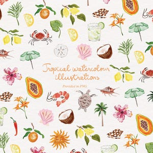 Oltre 20 illustrazioni tropicali ad acquerello / Icone disegnate a mano per inviti e cancelleria / Download digitale PNG / Eventi fai da te, biglietti, menu