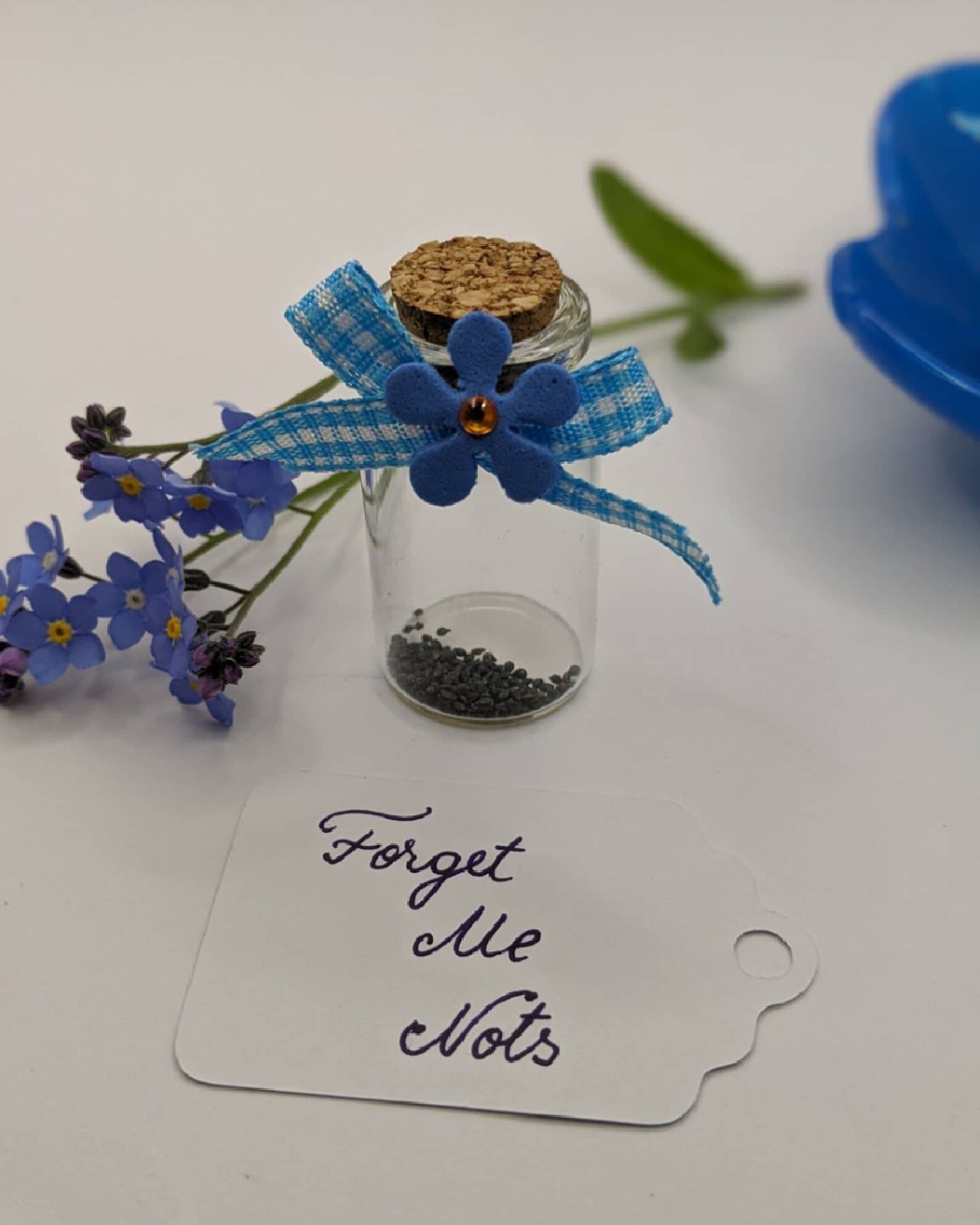 Me Not Seeds Bottle Funeral Flower Remembrance Etsy Norway