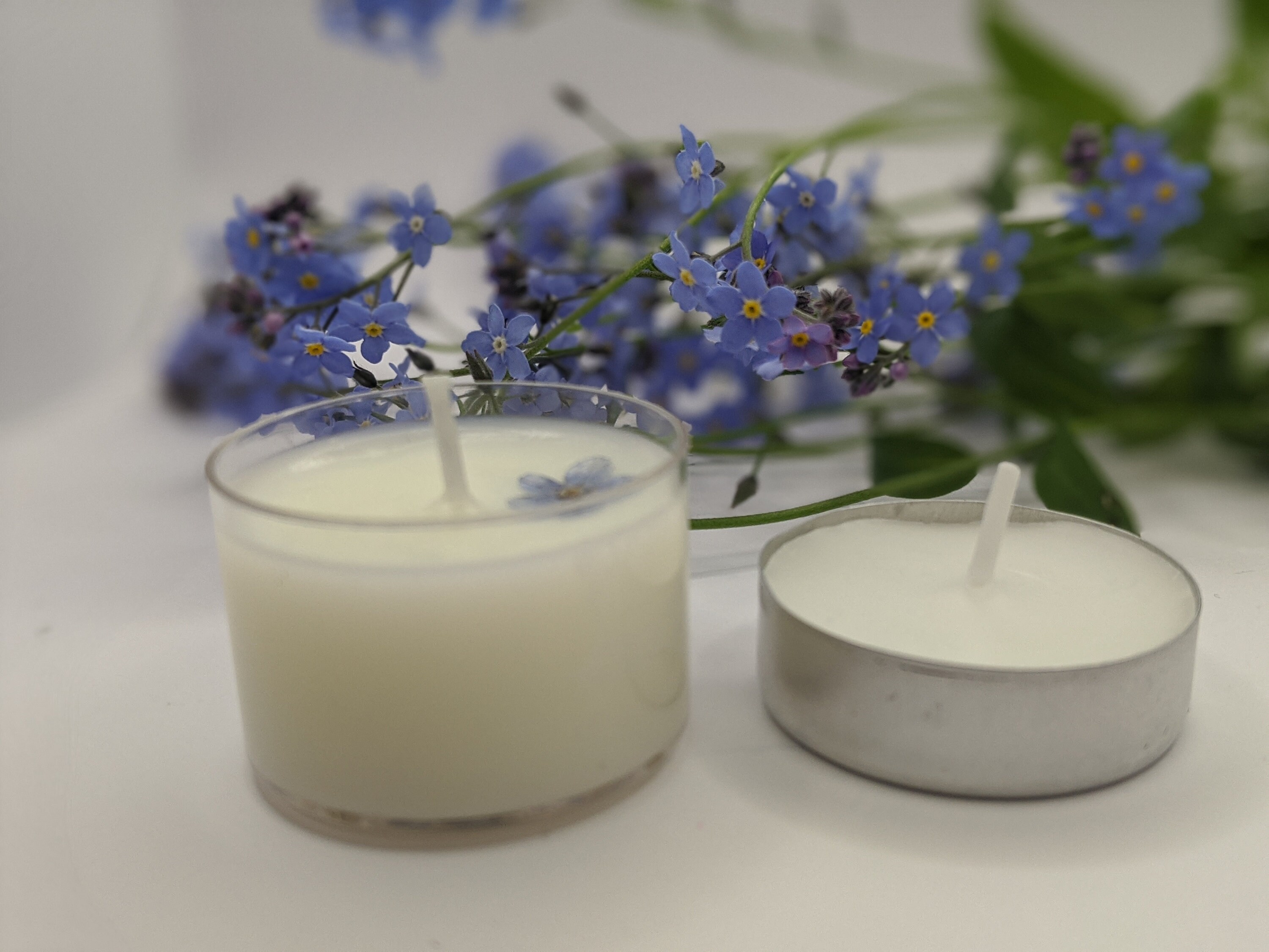 Me Not Tea Light Candle XL Scented Tea Light Etsy UK