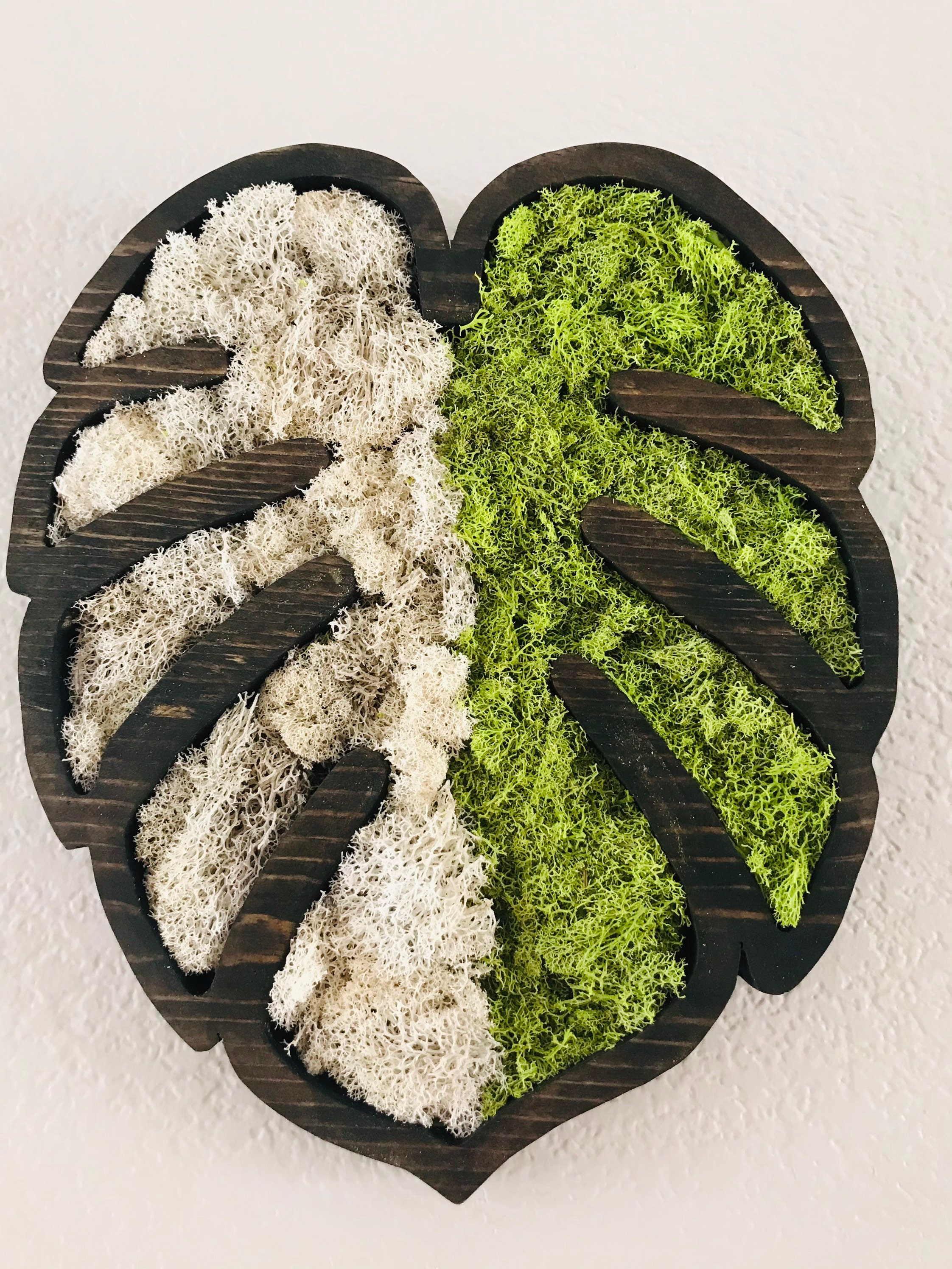 Mousse De Renne Naturelle Séchée – Verte émeraude – 100g – Pour Décor Mural, Tableau Végétal Et Artisanat Créatif - 7