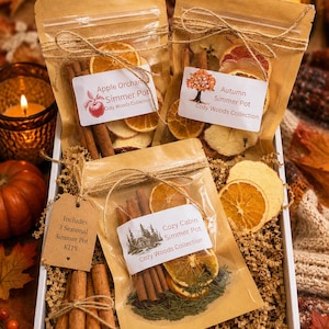 May include: Three brown paper pouches containing dried fruit and cinnamon sticks, labeled Apple Orchard Simmer Pot, Autumn Simmer Pot, and Cozy Cabin Simmer Pot. A brown tag reads Includes 3 Seasonal Simmer Pot KITS, tied with twine.