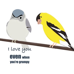 Carte de vœux drôle pour lui, Oiseaux mignons, Drôle d’anniversaire, Carte pour lui, Mari Petit ami Anniversaire, Carte Snarky, Carte sarcastique, Carte #C37