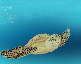 California Green Sea turtle watercolor print, Art print, Animal, Ocean Illustration, Sea art, Sea Life Art, Wall art, Coastal Home, Seascape