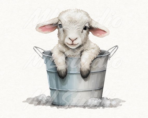 Baby Sheep in a Bucket PNG, Sheep PNG, Sheep Sublimation, Watercolour Sheep, Farm Animal Png, Watercolor Clipart, Animal Sublimation
