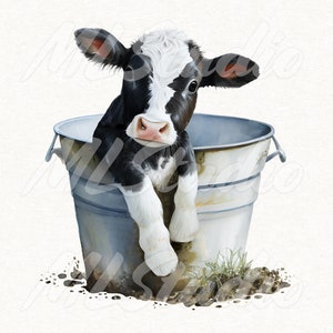 Baby Cow in a Bucket PNG, Watercolor Cow Png, Cow Sublimation, Cow Png, Cute Cow Png, Farm Animal Png, Animal Sublimation, Digital Download
