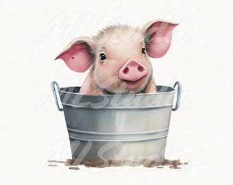May include: A pink piglet sits in a silver metal bucket. The bucket is sitting in a puddle of brown mud.