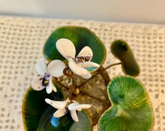 Bovano of CHESHIRE Enamel on Copper violet FLOWERS Potted Art Sculpture