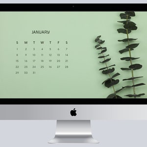 2022 - 2023 Desktop Wallpaper Background Organizer | 16 Months Aesthetic | Eucalyptus Calendar | Neutral Mac, PC, Windows