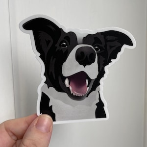 Schattige Border Collie Sticker | Zwart-witte Border Collie Sticker | Vinyl Sticker