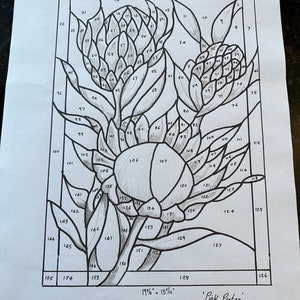 May include: A black and white line drawing of a 'Pink Protea' flower design, with each section numbered. The artwork is 19 3/8" x 13 7/16" and signed by Melanie Walsh, 2023.