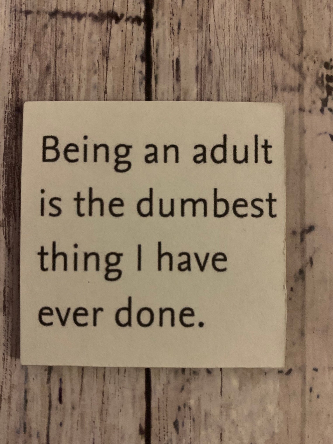 Funny refrigerator sarcastic humor small Etsy