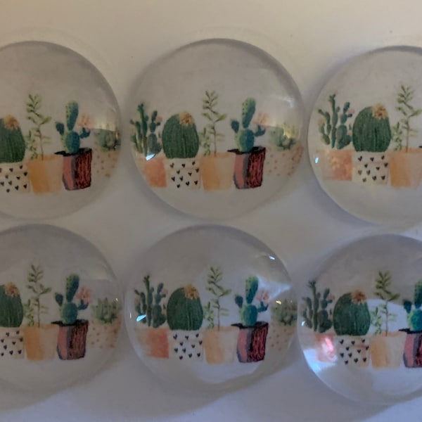 Cactus magnets plant magnets 1” glass magnets refrigerator magnets - set of 6 - Coworker gift- friend gift - office decor