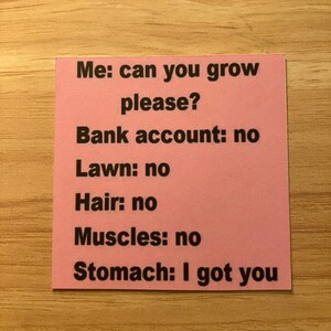 Funny magnet, sarcastic magnet, magnet, small gift 3 X 3 INCHES