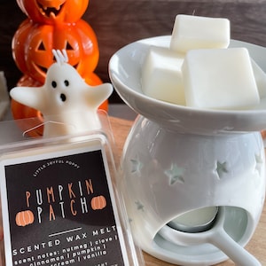 Halloween themed wax melts wax tart, scented wax melts for Fall, Autumnal scented clamshell wax melt, home scents made from soy wax