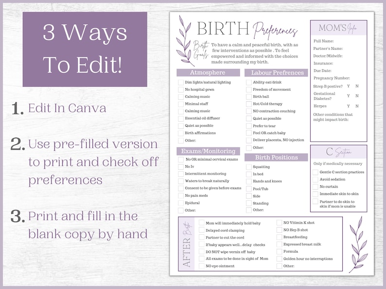Editable Birth Plan Template printable Birth Plan Checklist - Etsy