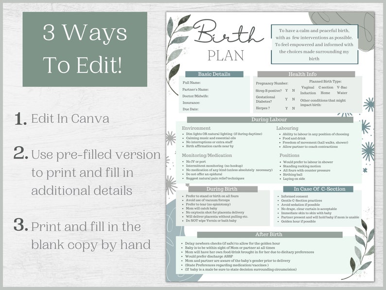 May include: A birth plan template with a soft, watercolor-style design. The document includes sections for basic details, health information, and preferences during labor, birth, and after birth. Text on the page includes "3 Ways To Edit!" and "Birth Plan."