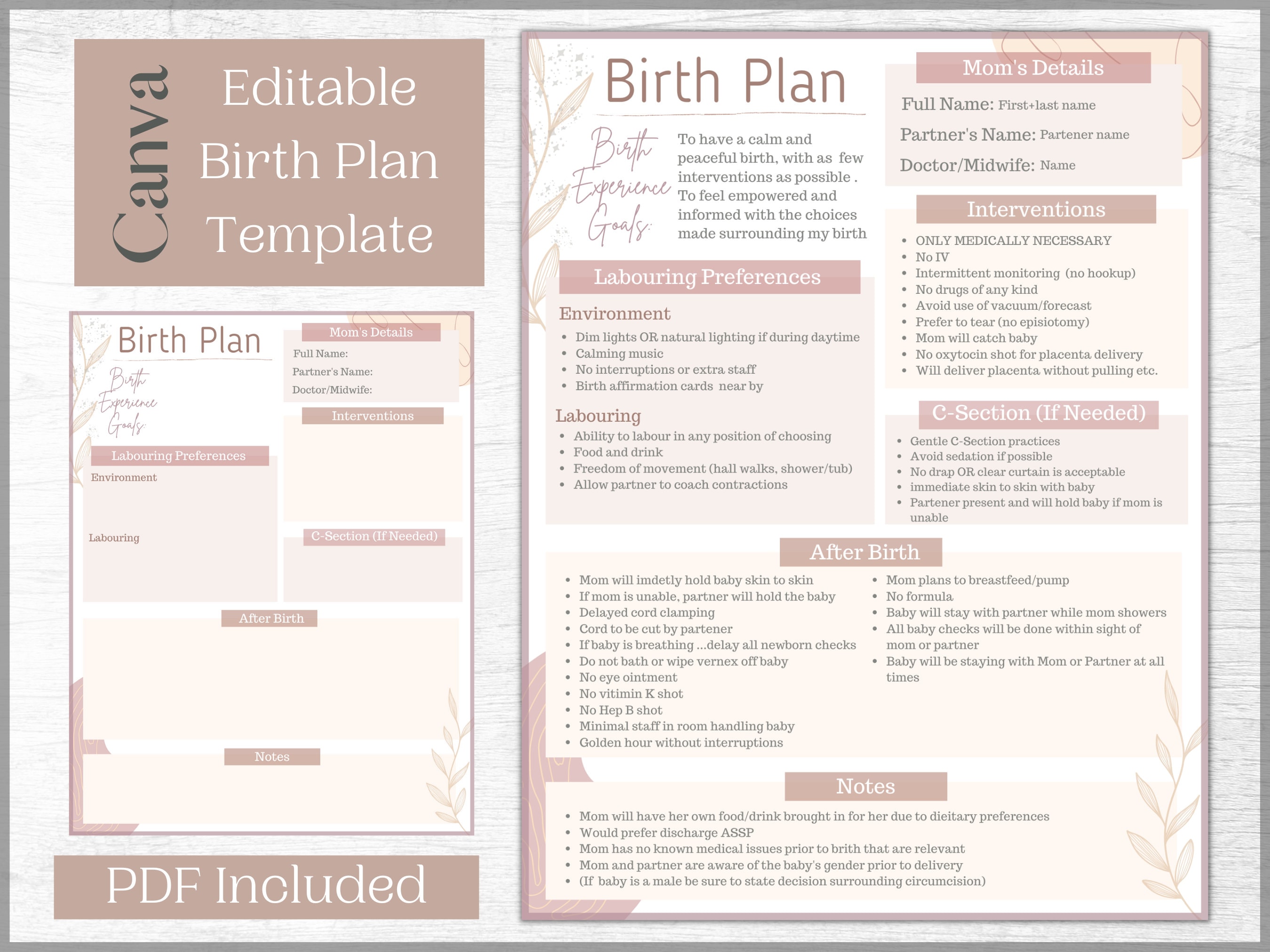 Editable Birth Plan Template Printable Birthing Plan - Etsy