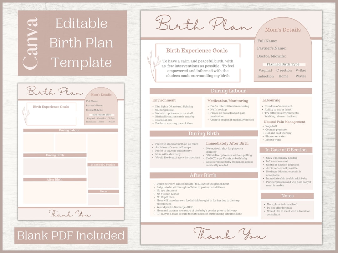 Editable Birth Plan Template Printable Birthing Plan Labour and ...