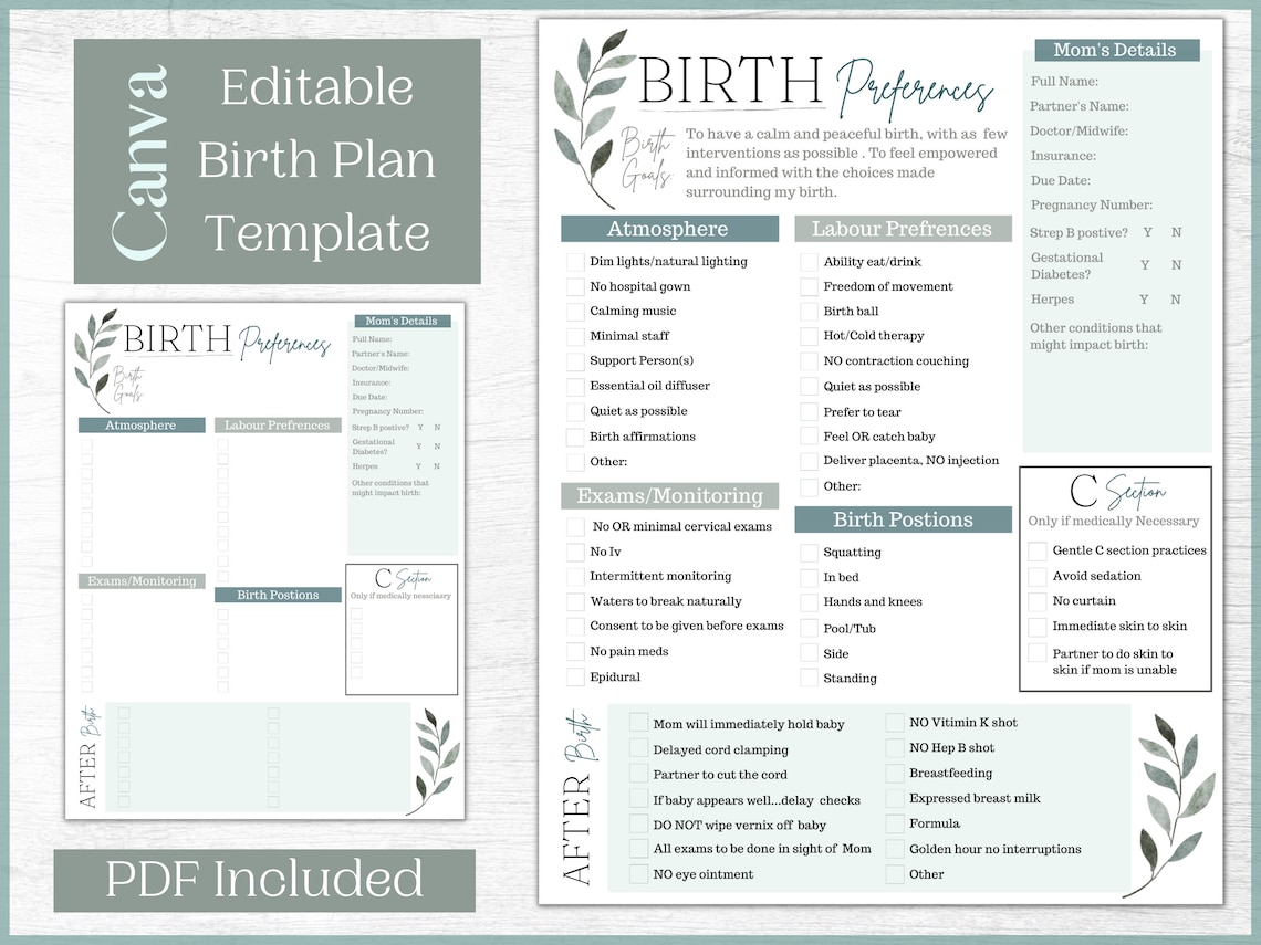 Editable Birth Plan Template printable Birth Plan and Checklist - Etsy