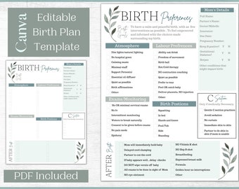 Editable Birth Plan Template Printable Birthing Plan - Etsy