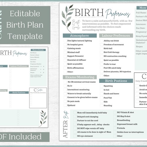 Birth Plan Printable Editable Pastel Colors - Etsy