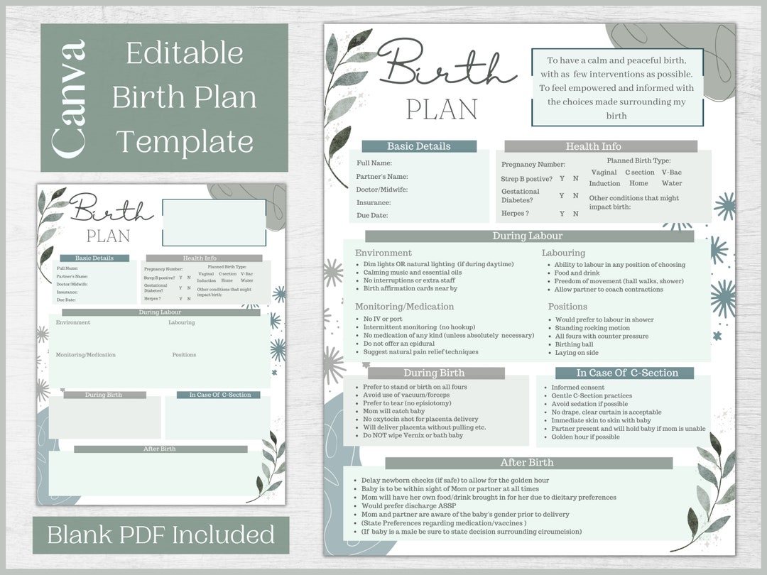 Editable Birth Plan Template Printable Birthing Plan Labour and ...