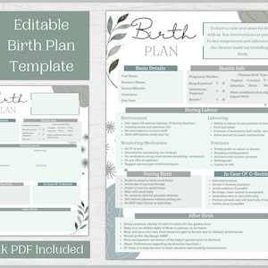 Editable Birth Plan Template | Printable Birthing Plan | Labour And Delivery Preferences Template