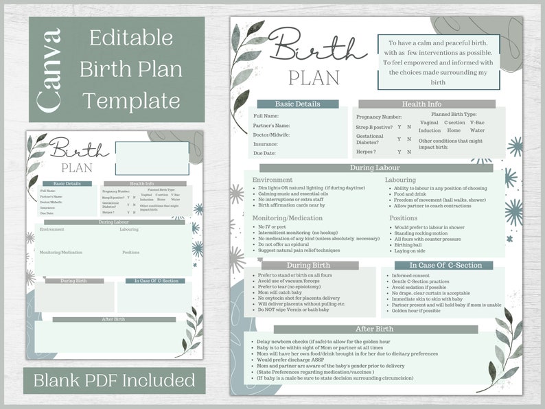May include: A printable birth plan template with the text "Editable Birth Plan Template" in a soft green color. The plan includes sections for basic details, health info, laboring, and after birth. The words "Birth Plan" are written in a decorative font.
