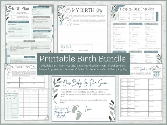 Mini Birth Plan Bundle Editable Birth Plan Hospital Bag - Etsy