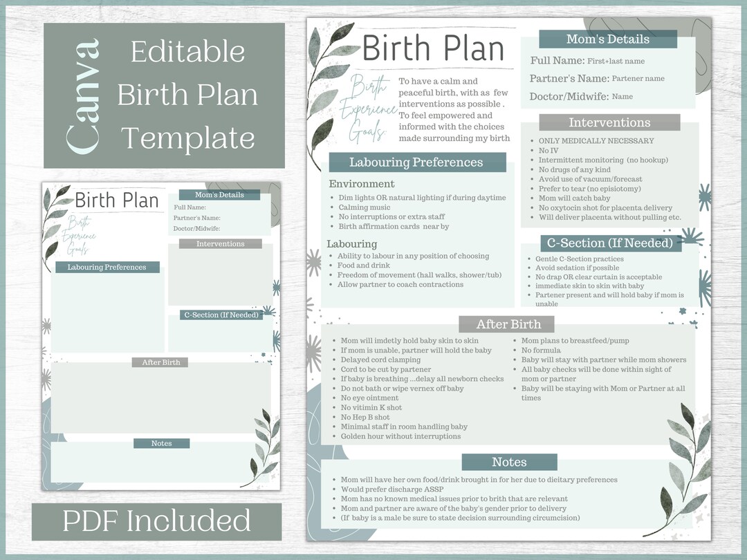 Editable Birth Plan Template Printable Birthing Plan - Etsy UK
