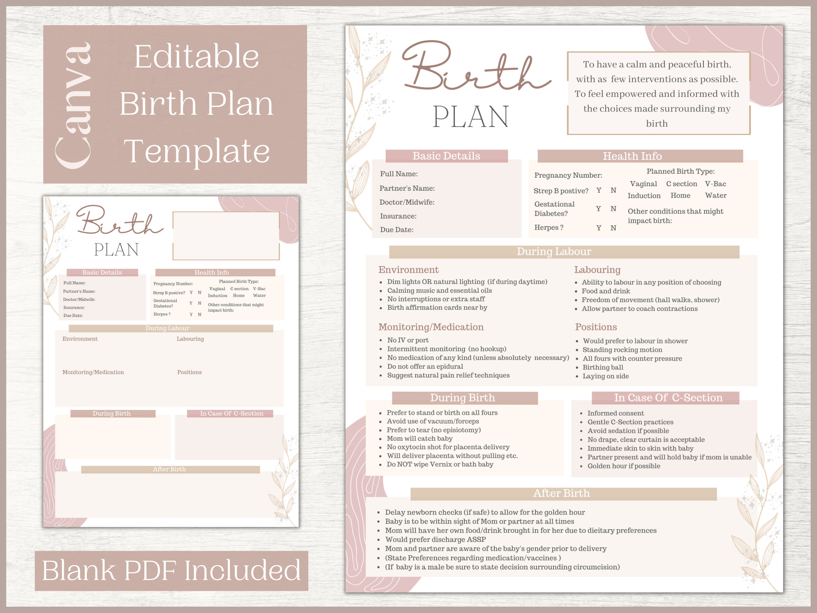 Editable Birth Plan Template Printable Birthing Plan - Etsy Denmark