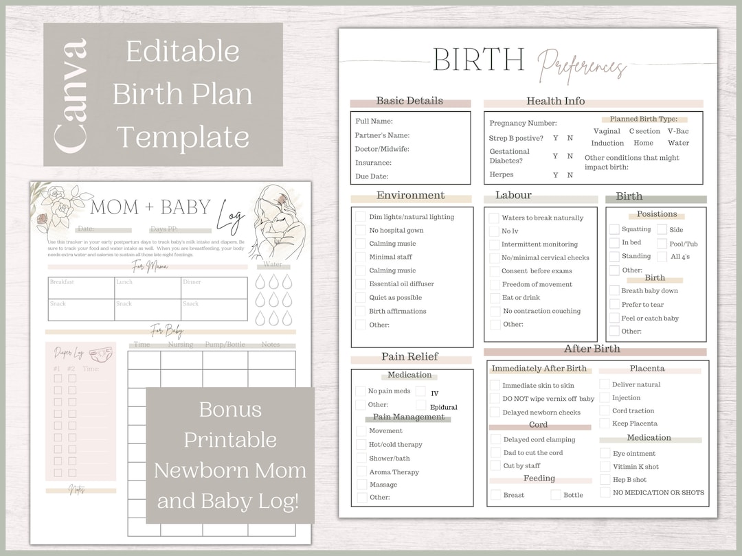 Editable Birth Plan Template and Printable Newborn Log Mini Birth ...