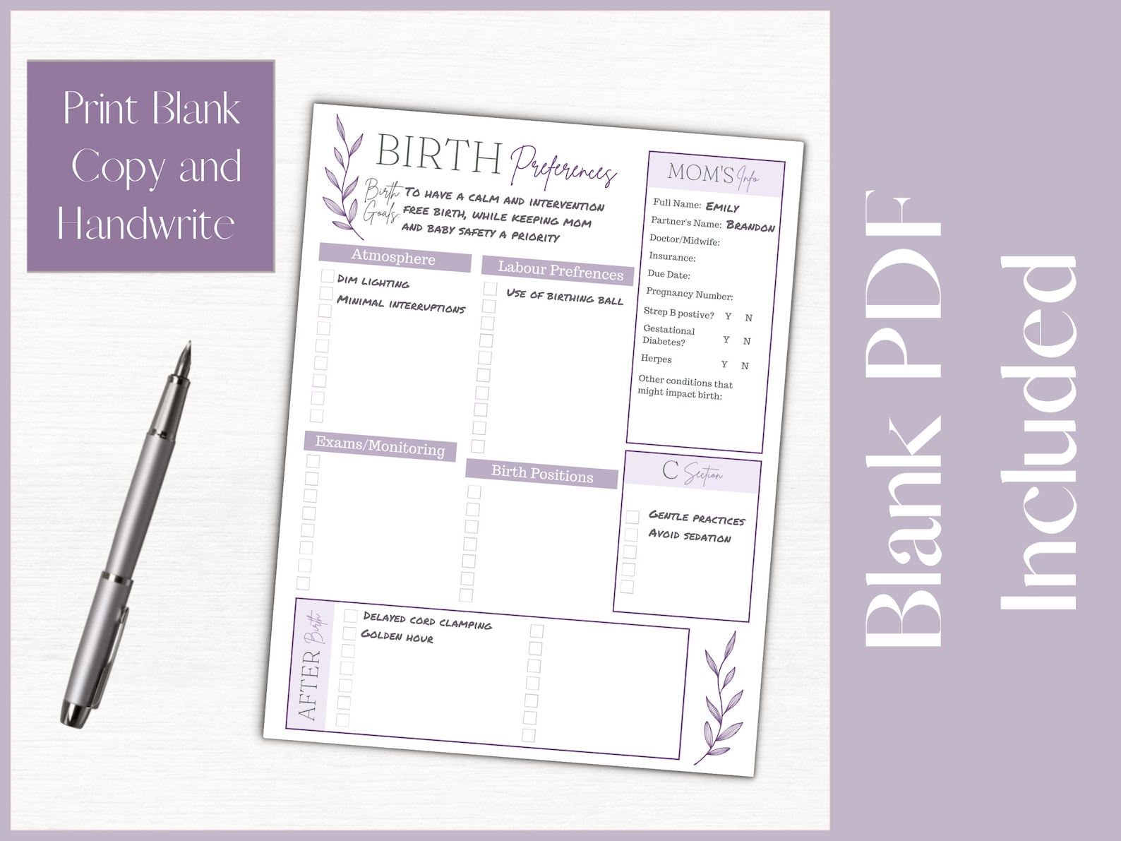 Editable Birth Plan Template |printable Birth Plan Checklist - Etsy